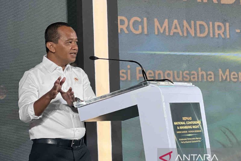 Repnas Siap Dukung Pertumbuhan Ekonomi dan Energi Nasional