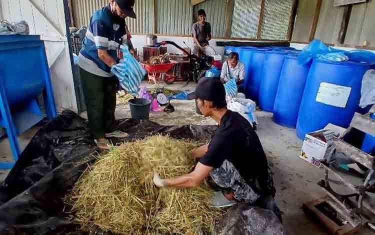 Empat Kelompok Peternakan Ikuti Pelatihan Pembuatan Pakan Alternatif