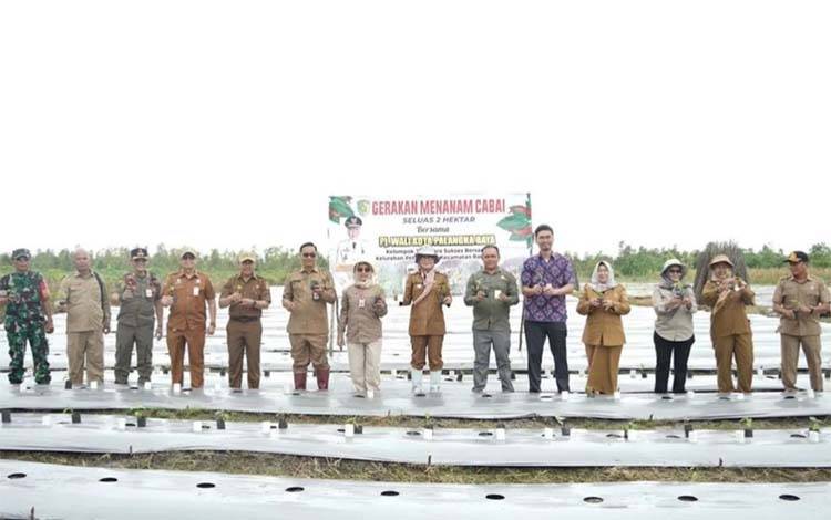 Pemko Palangka Raya Tanam Padi dan Cabai di Lahan 20 Hektare