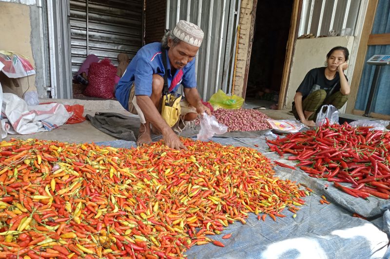 Pemantauan Kenaikan Harga Cabai di Mataram Antisipasi Inflasi