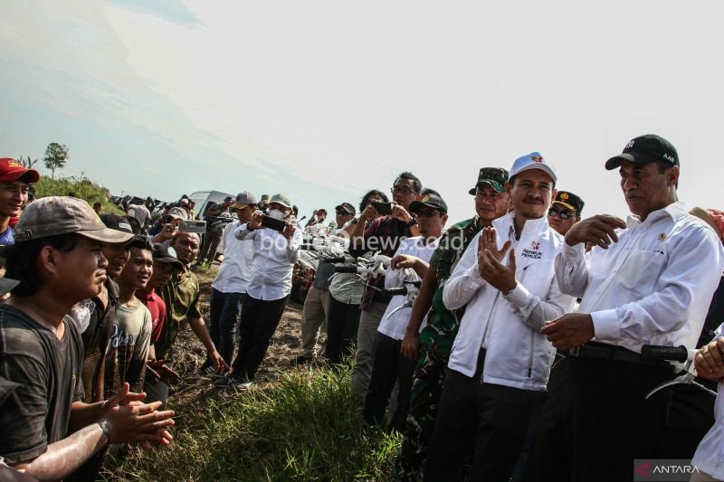 Rencana Matang Penting untuk Keberhasilan Program Food Estate
