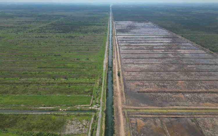 Kementan: Program Cetak Sawah Didukung Penuh Presiden Terpilih Prabowo