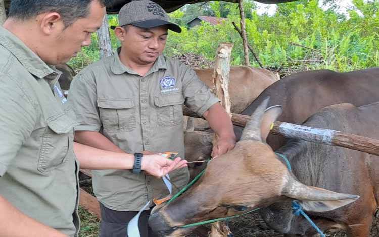 PDHI Cabang Kalteng Dukung Peningkatan Produksi Pangan Hewani