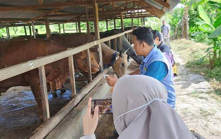 Edukasi dan Penyuluhan oleh Dokter Hewan untuk Meningkatkan Kualitas Pangan Hewani