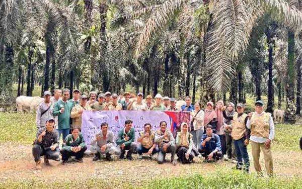 Kunjungan ke Sulung Ranch dalam Pelatihan Budidaya Ternak Sapi