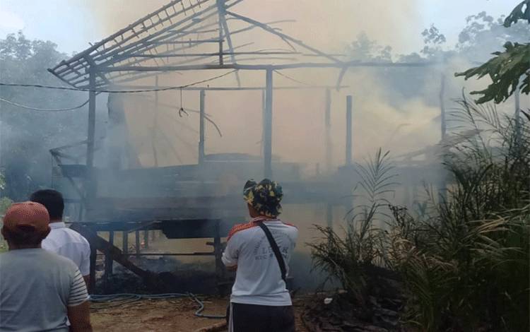 Kandang Ternak di Kota Besi Terbakar Membuat Ribuan Ayam Terpanggang