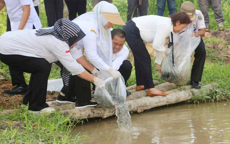 4 Kelompok Nelayan Dapat Bantuan Bibit Ikan dan Pakan di Pulang Pisau
