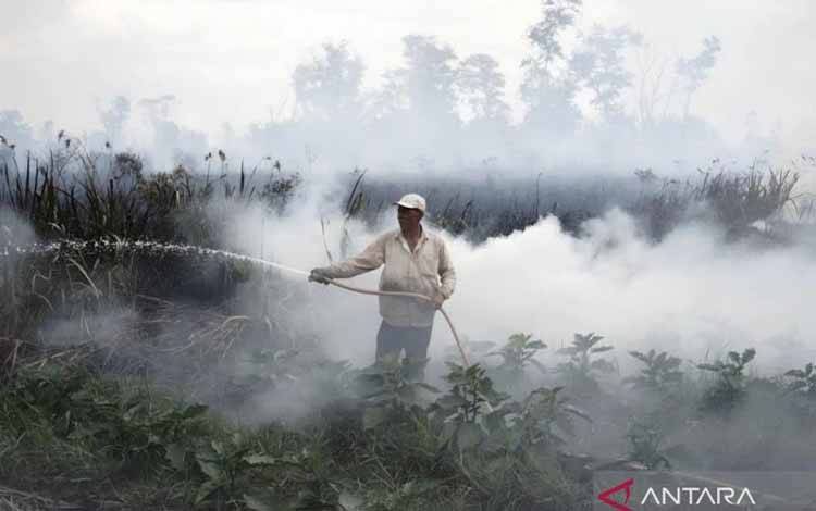 BRIN Gaet Institusi Nasional dan Mancanegara Atasi Kebakaran Gambut
