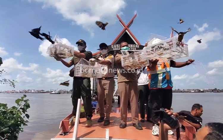 Begini Kronologi Balai Karantina Gagalkan Penyelundupan 54 Burung dari Sampit ke Surabaya