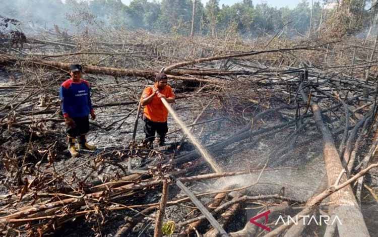 Selama 10 Bulan BPBD Palangka Raya Catat 71,11 Hektare Lahan Terbakar