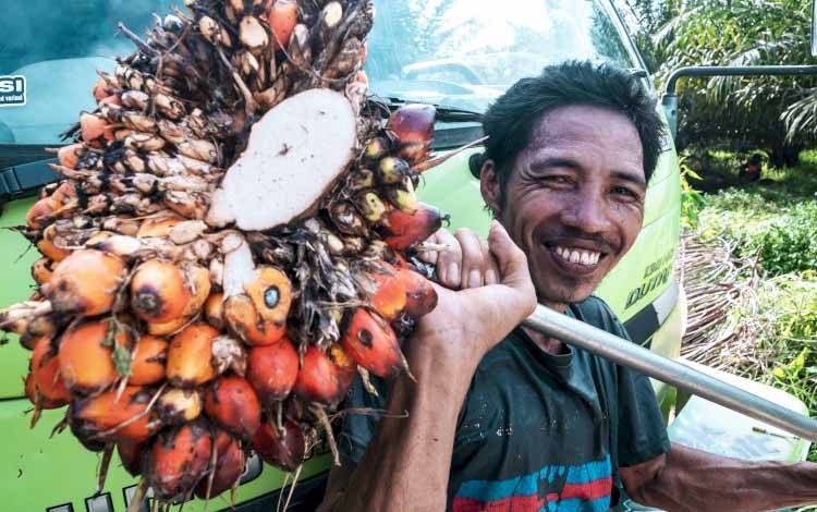 Ketegangan Diplomatik antara Indonesia dan Uni Eropa terkait Kebijakan Kelapa Sawit
