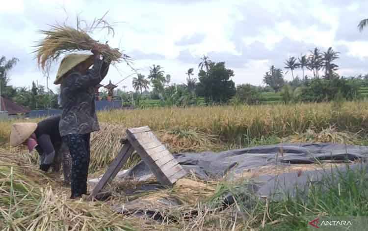 Soal Hapus Utang, Wamenkop Usulkan Kredit Diberikan Melalui Koperasi