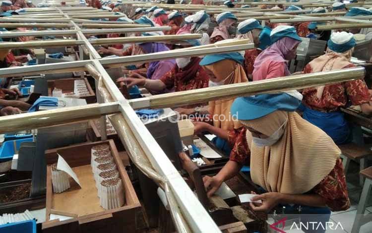 Asosiasi Minta Kebijakan Kemasan Rokok Polos Tanpa Merek Dikaji Ulang