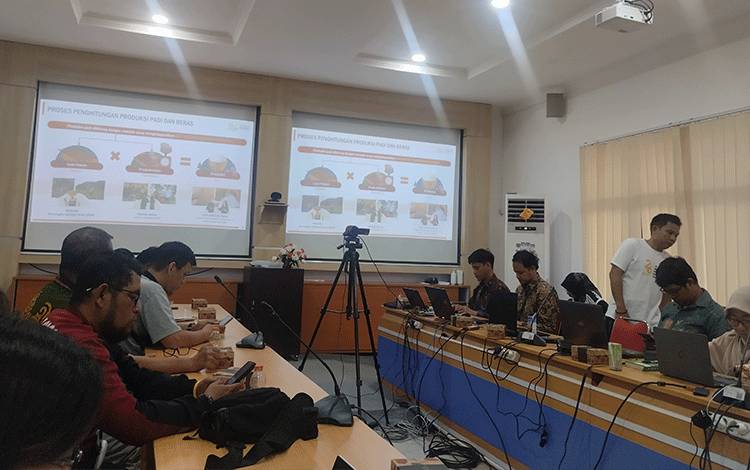 Luas Panen Padi Kalteng 2024 Diperkirakan Mencapai 27,56 Ribu Hektare