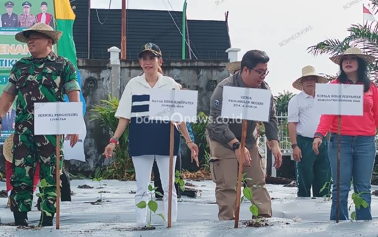 DPRD Gunung Mas Berharap Masyarakat Ikut Menanam Tanaman Hortikultura di Pekarangan Rumah