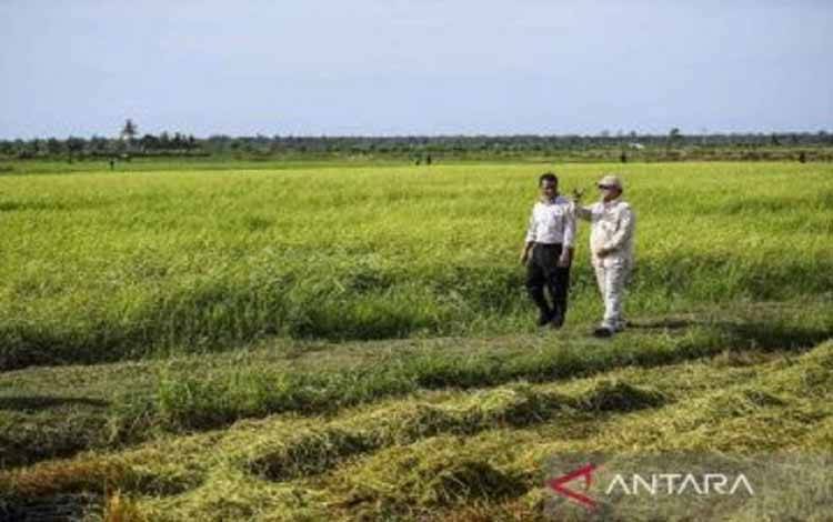 Mentan Amran Janji Mundur jika Gagal Berantas Mafia Impor Pangan