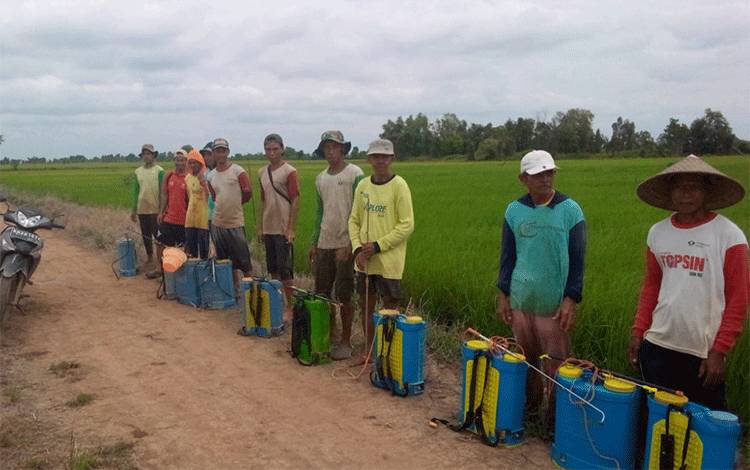 Inisiatif OJK untuk Meningkatkan Akses Keuangan Petani