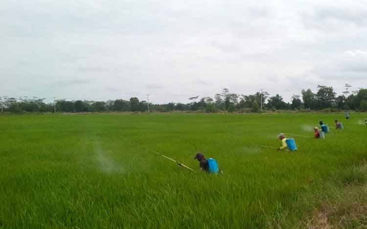 Pentingnya Edukasi Keuangan bagi Petani