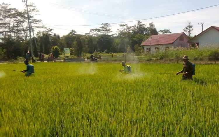 Sektor Pertanian Serap Tenaga Kerja Terbanyak di Kalteng