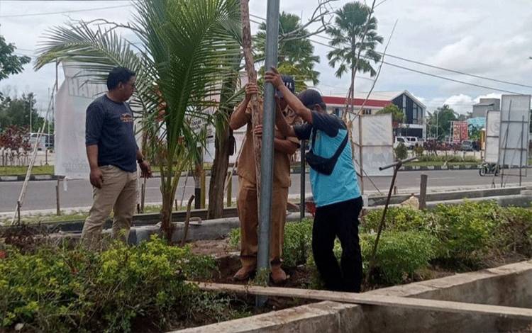 Disperkimtan Palangka Raya Lakukan Pemindahan dan Pemeliharaan PJU