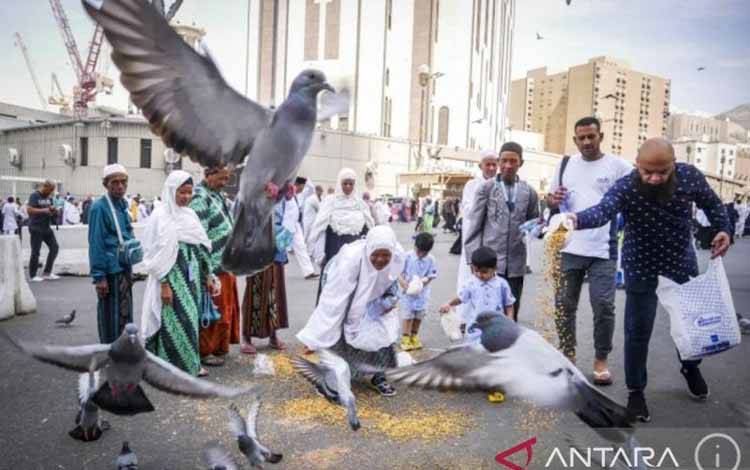 Komisi VIII DPR RI Yakini Kampung Haji di Makkah Bakal Terwujud