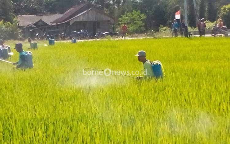 Kolaborasi OJK dan Pemerintah Daerah: Mendorong Kemajuan Petani dengan Skema Pembiayaan Inovatif