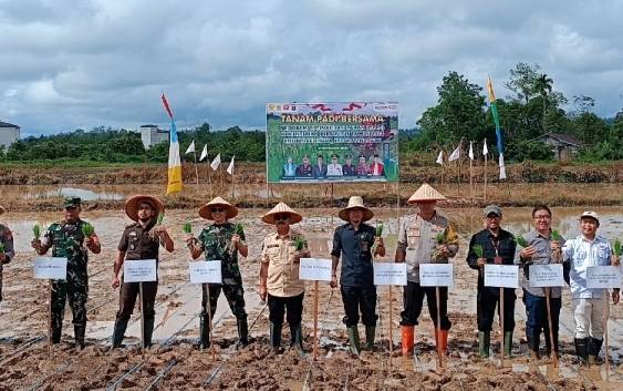 Pj Bupati Gunung Mas Ikut Tanam Padi Program OPLA di Kelurahan Tewah