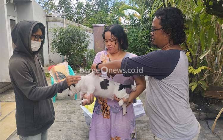 Kejar Target Vaksinasi Rabies di Palangka Raya Menjelang Akhir Tahun 2024