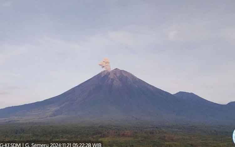 Gunung Semeru Erupsi dengan Letusan Setinggi 800 Meter