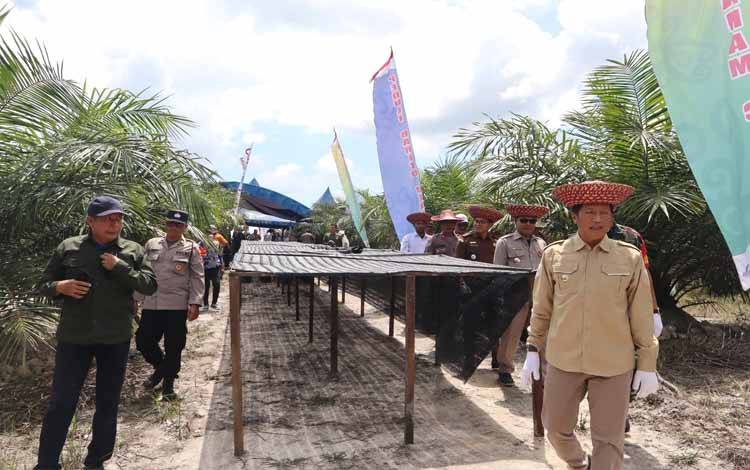 Pasokan Cabai di Barito Utara Tak Mencukupi Kebutuhan Masyarakat