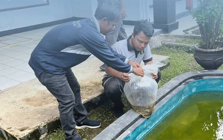 DKPP Kapuas Salurkan Benih Ikan Nila ke Rutan Kelas IIB