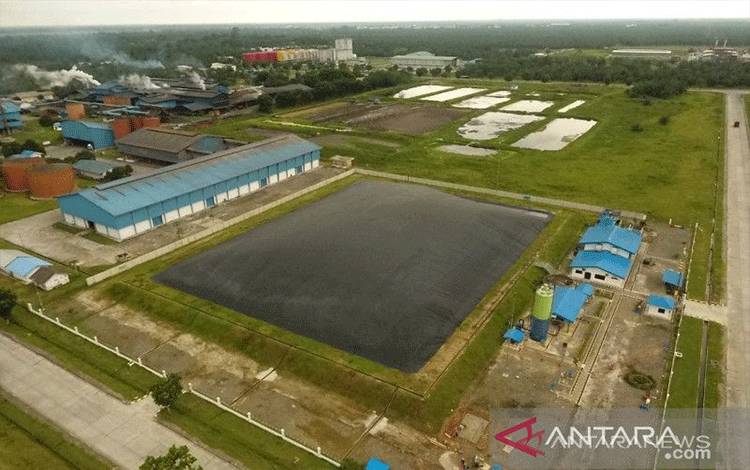 Pemerintah Diminta Revisi Permen LHK No 5 Tahun 2021