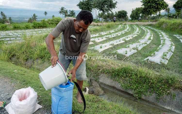 Multifaset Manfaat Pangan untuk Pertumbuhan Ekonomi