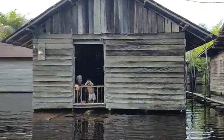 Jumlah KK Terdampak Banjir di Desa Sungai Ubar Mandiri Bertambah