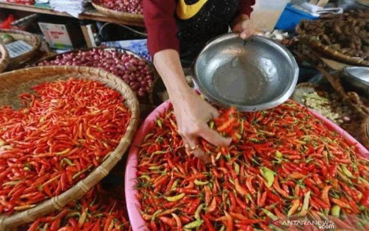 Harga Cabai Merah Keriting Naik, Berikut Daftar Harga Komoditas Lainnya di Kobar per 10 Juli 2025