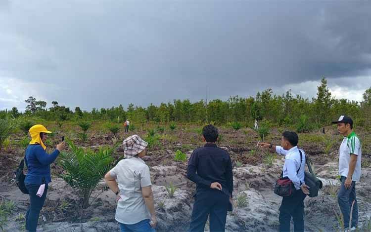 Kembangkan Pertanian, Palangka Raya Terima Program Cetak Sawah 10.686 Hektare