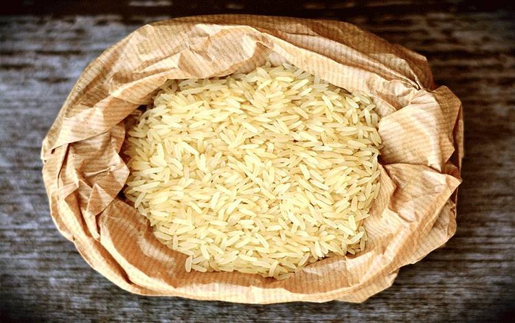 Sahli Ekoubang Kalteng Tekankan Peran Aktif Satgas Pangan dan TPID