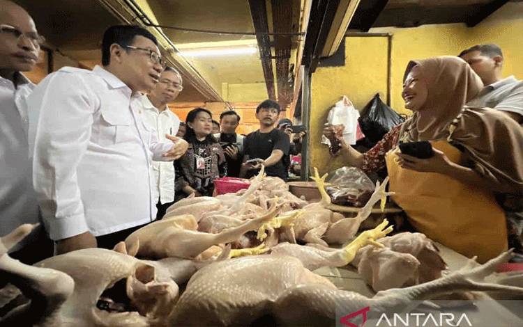 Harga Kedelai Turun dan Ayam Ras Naik di Kobar
