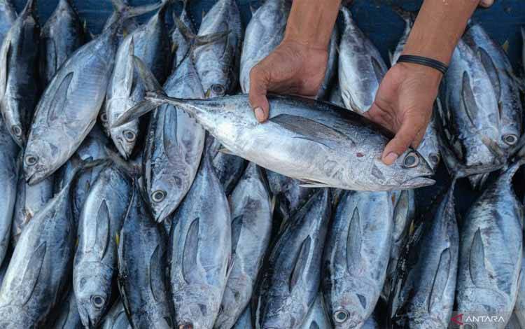 BRIN Fokus Kembangkan Vaksin Ikan untuk Jaga Produktivitas Pangan