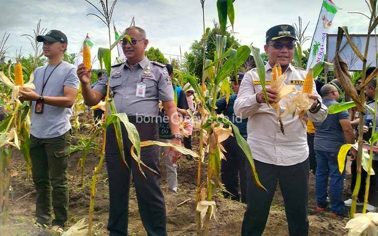 Pemkab Sukamara Dukung Lapas Sukamara Kembangkan Program Ketahanan Pangan Nasional