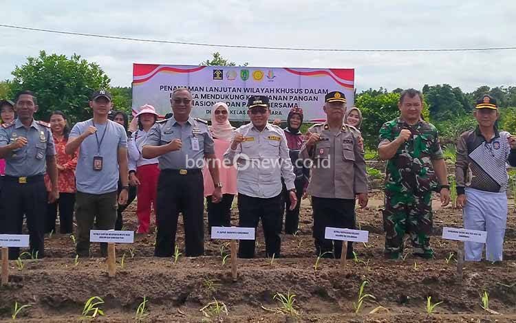 Penanaman Jagung Lanjutan Juga untuk Pembinaan Bagi WBP Lapas Sukamara