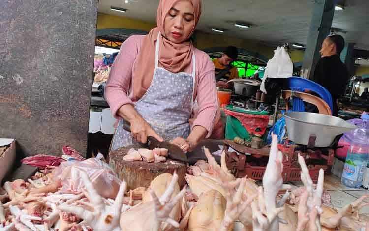 Harga Ayam Potong di Sampit Diprediksi Naik Jelang Natal dan Tahun Baru