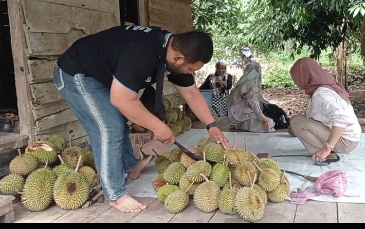 Desa Jemaras Panen Durian, Petani Senyum Sumringah