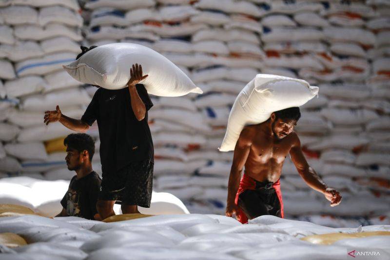 Peran BUMN Atasi Stunting dalam Program Makan Bergizi Gratis