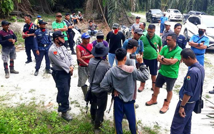Tak Hanya Perusahaan, Koperasi pun jadi Sasaran Penjarahan Sawit di Kotim