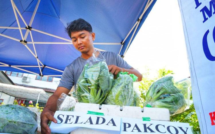 Pemko Palangka Raya Dorong Diversifikasi Tanaman Pangan