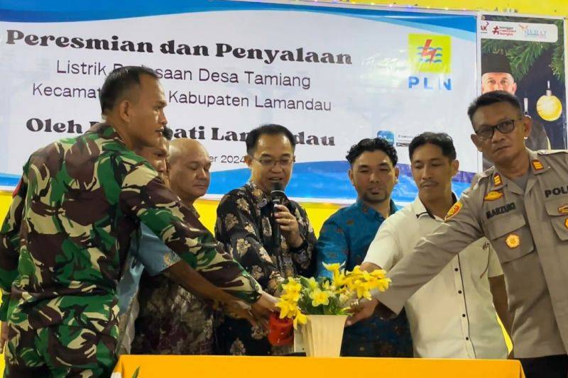 PLN Resmikan Penyalaan Listrik di Desa Tamiang Lamandau