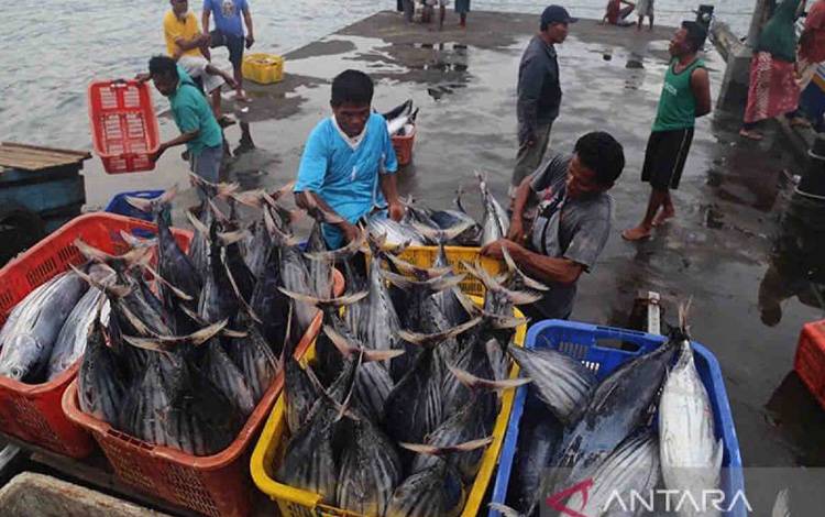 KKP: Penyaluran Bantuan Sektor Perikanan Tangkap Capai Rp104,8 Miliar