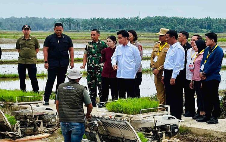 Mentan Sebut Tak Temui Lagi Keluhan Distribusi Pupuk Pertanian