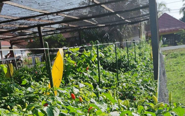 Katingan Hilir Jadi Lokasi Percontohan Program Gerbang Paraga
